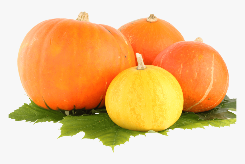 Pumpkin Png, Transparent Png, Free Download