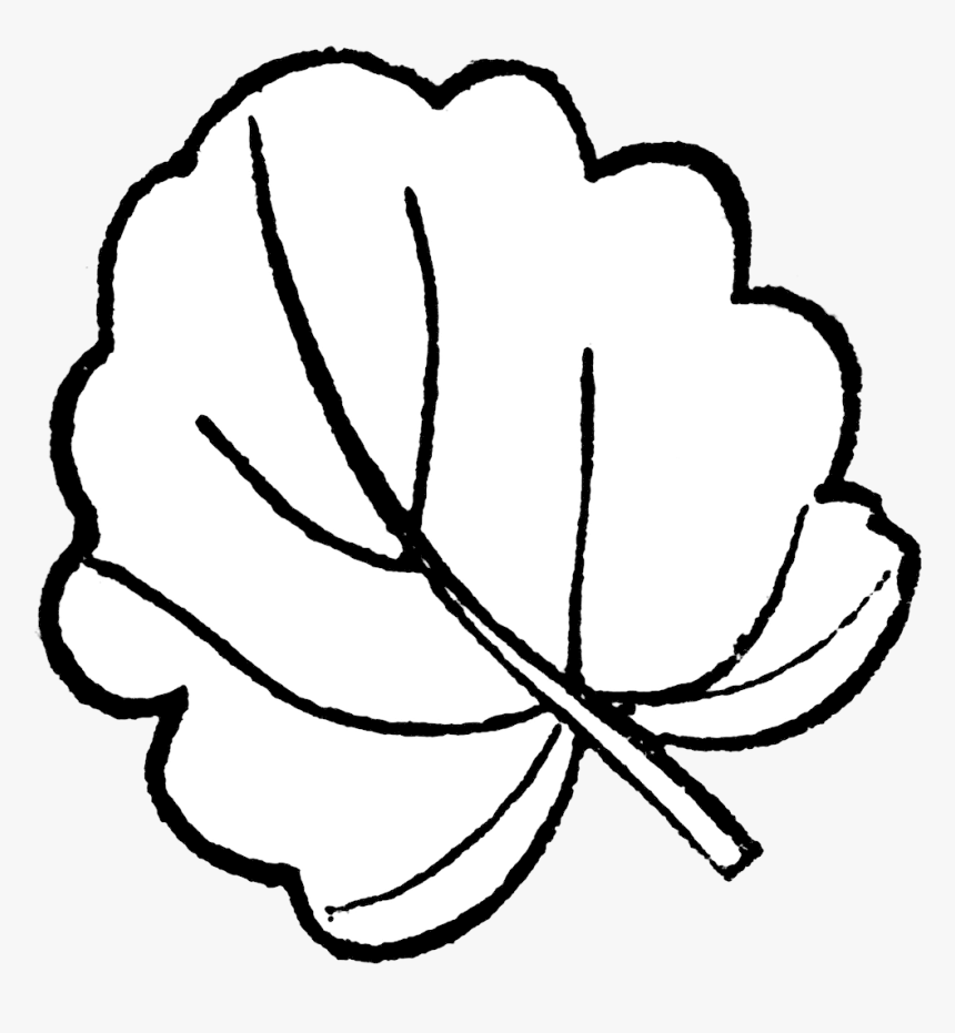 Get Clipart Images Free Pumpkin Outline Clipart Gallery