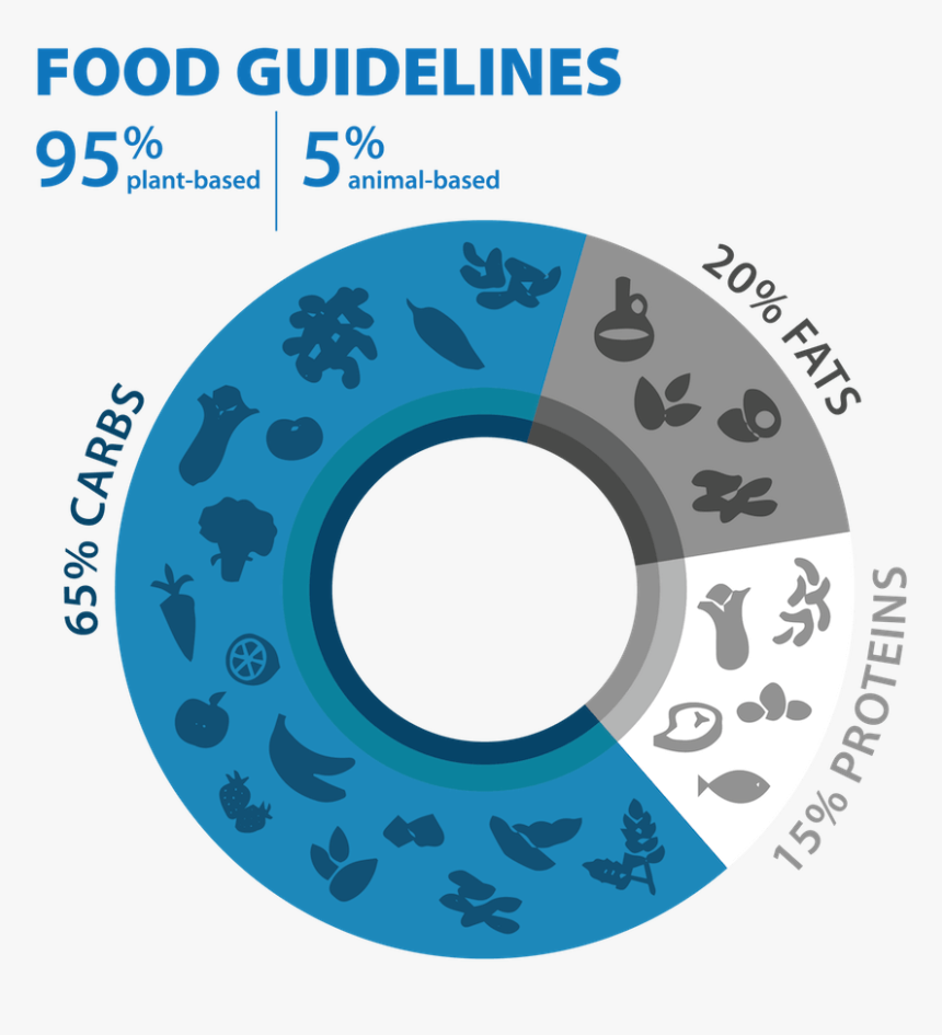 Blue Zone Food Pyramid, HD Png Download, Free Download