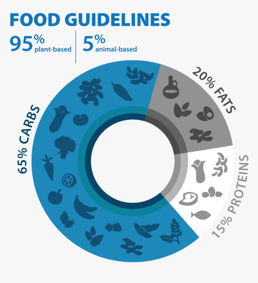 Blue Zone Food Pyramid HD Png Download Kindpng