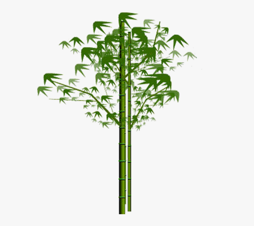Bamboo Png, Download Png Image With Transparent Background, - Portable Network Graphics, Png Download, Free Download