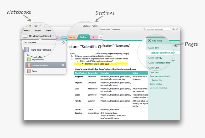 Welcome To Onenote - Onenote Travel Planner, HD Png Download, Free Download