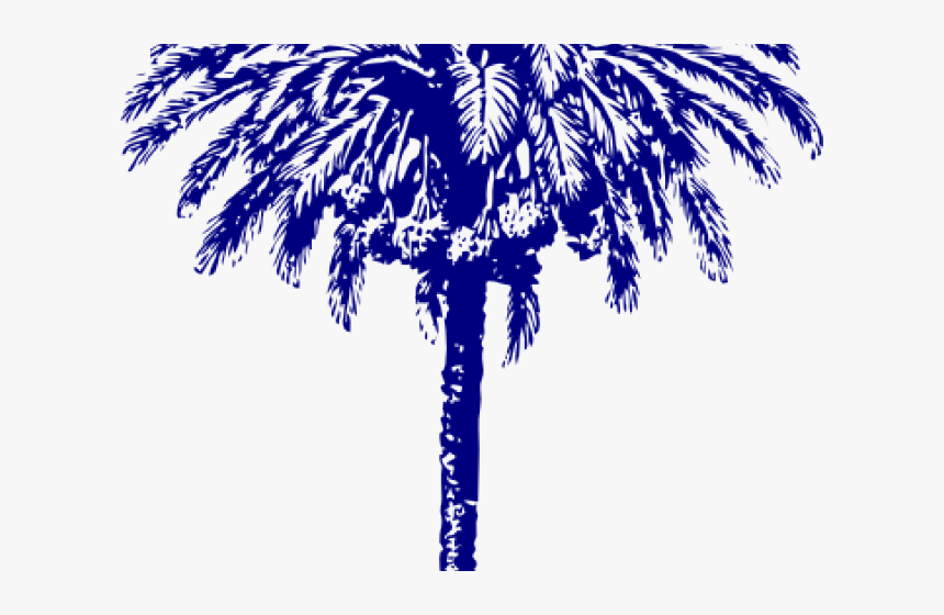 Palm Tree Clipart Stylized - Date Palm Tree Drawing, HD Png Download, Free Download