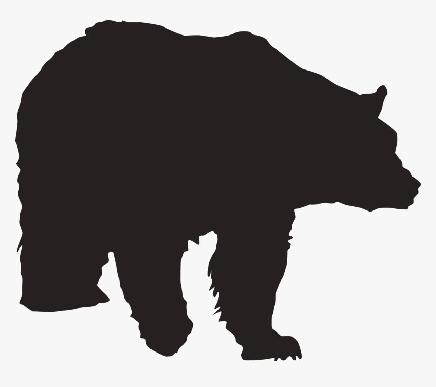 Polar Bear Brown Bear - Portable Network Graphics, HD Png Download, Free Download