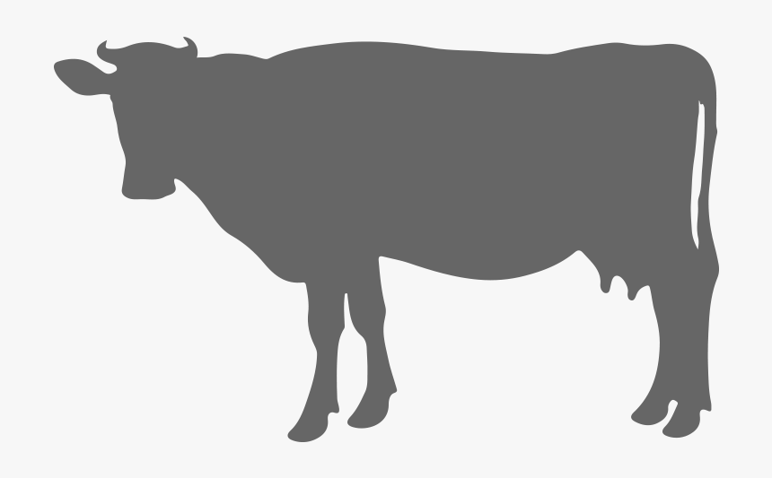 Transparent Cow Silhouette Png - Ll Love You Till The Cows Come Home, Png Download, Free Download