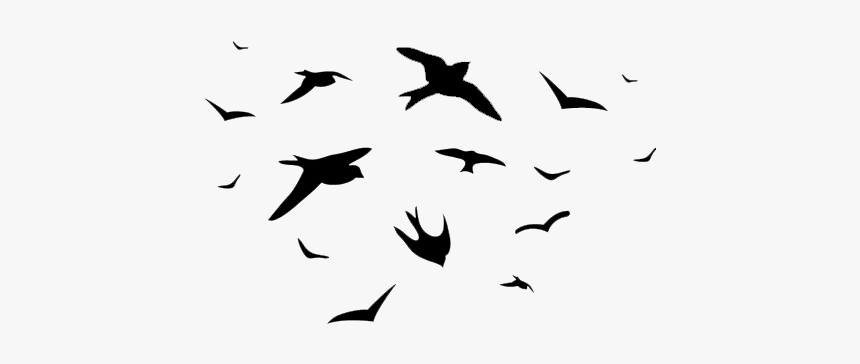 #ftestickers #birds #animal #silhouette #bird #animals - Nest And Bird Vector Png, Transparent Png, Free Download