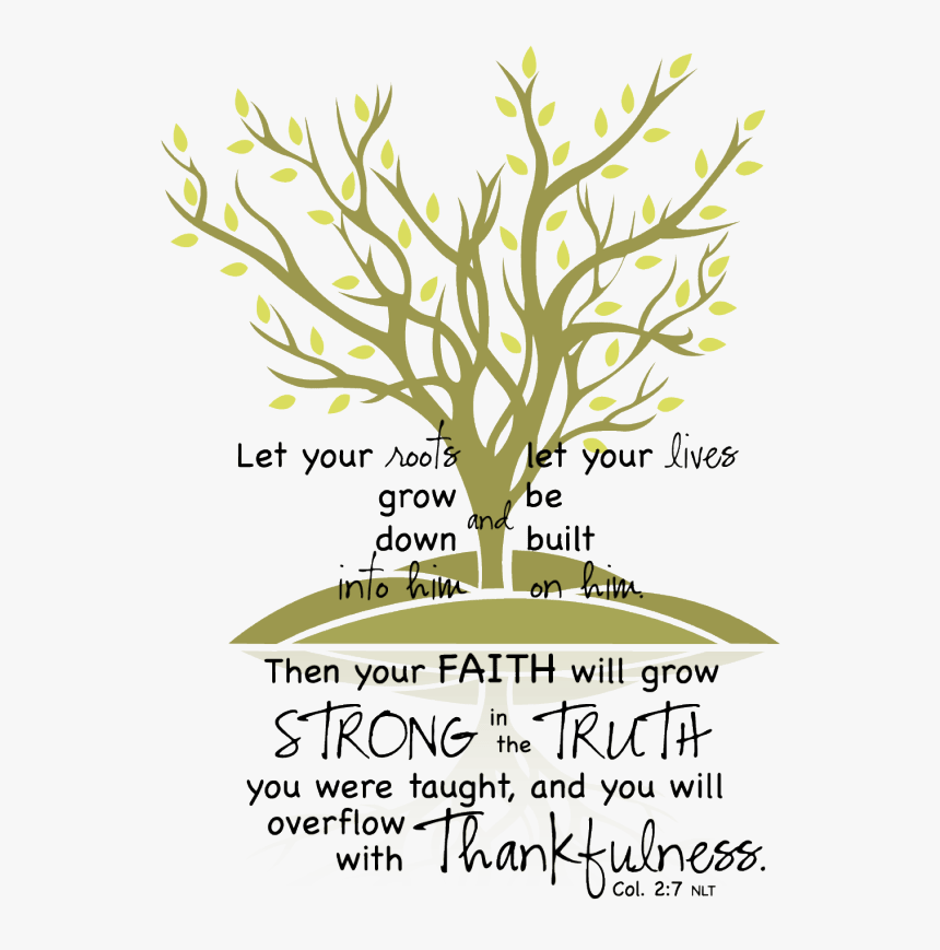 Ddcommunity - Col - 2 - 7 With Tree - Colossians 2 7, HD Png Download, Free Download