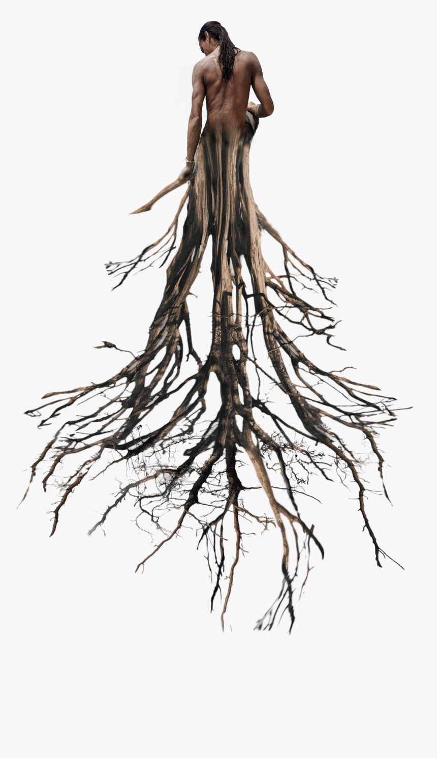 Tree Roots Surreal Man Tumblr, HD Png Download, Free Download