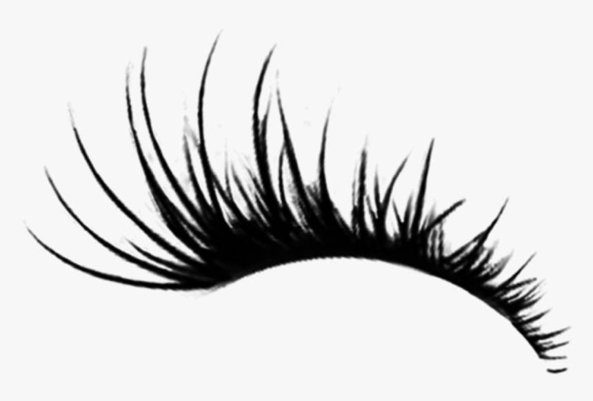 Eyelashes Png Transparent, Png Download, Free Download