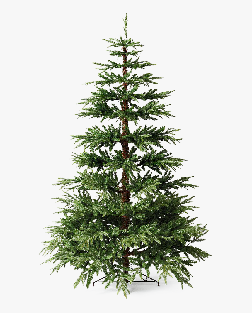 Christmas Pine Tree Png File, Transparent Png, Free Download