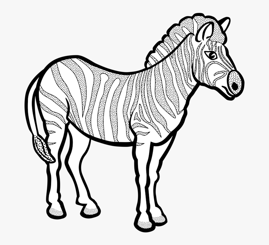 Zebra-lineart - Line Art Of Zebra, HD Png Download, Free Download
