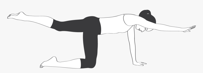 Clip Art Bird Dog Stretch - Lower Back Exercise Black And White, HD Png Download, Free Download