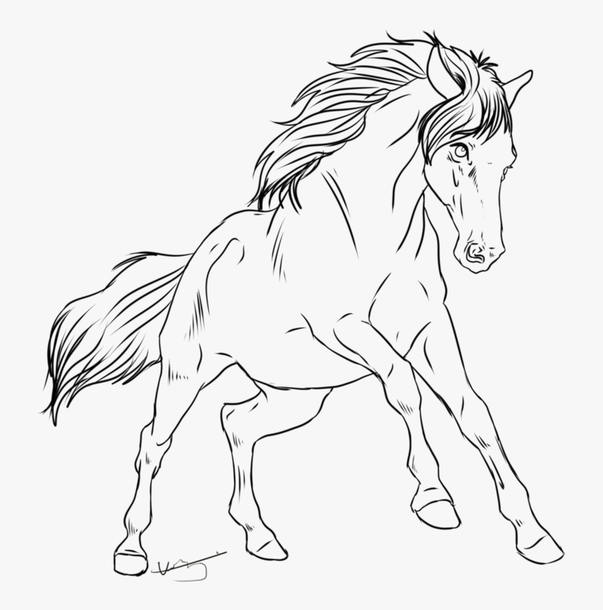 Mane Mustang Pony Stallion Halter - Line Art, HD Png Download, Free Download