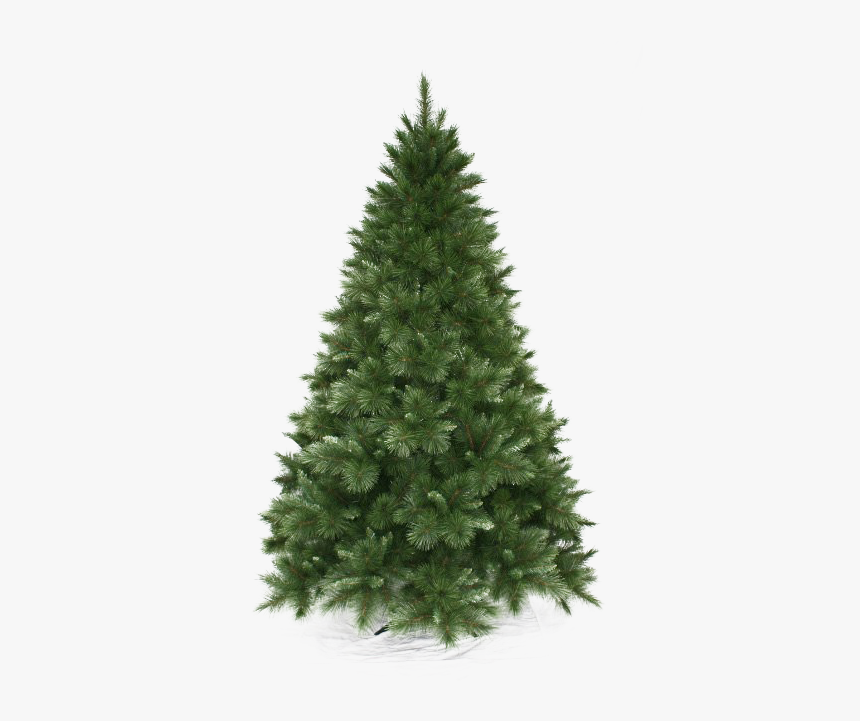 Christmas Pine Tree Png Background Image - Christmas Tree, Transparent Png, Free Download