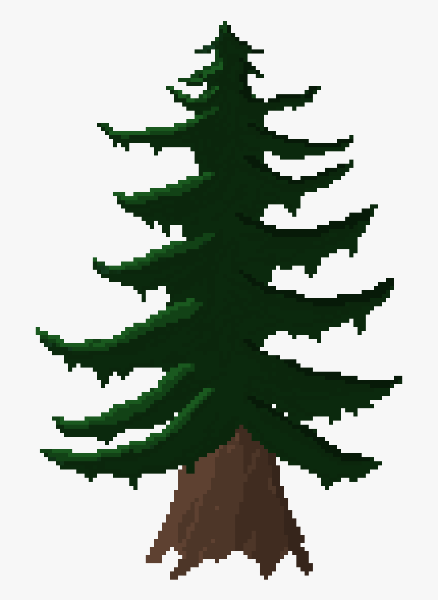 Colorado Spruce, HD Png Download, Free Download