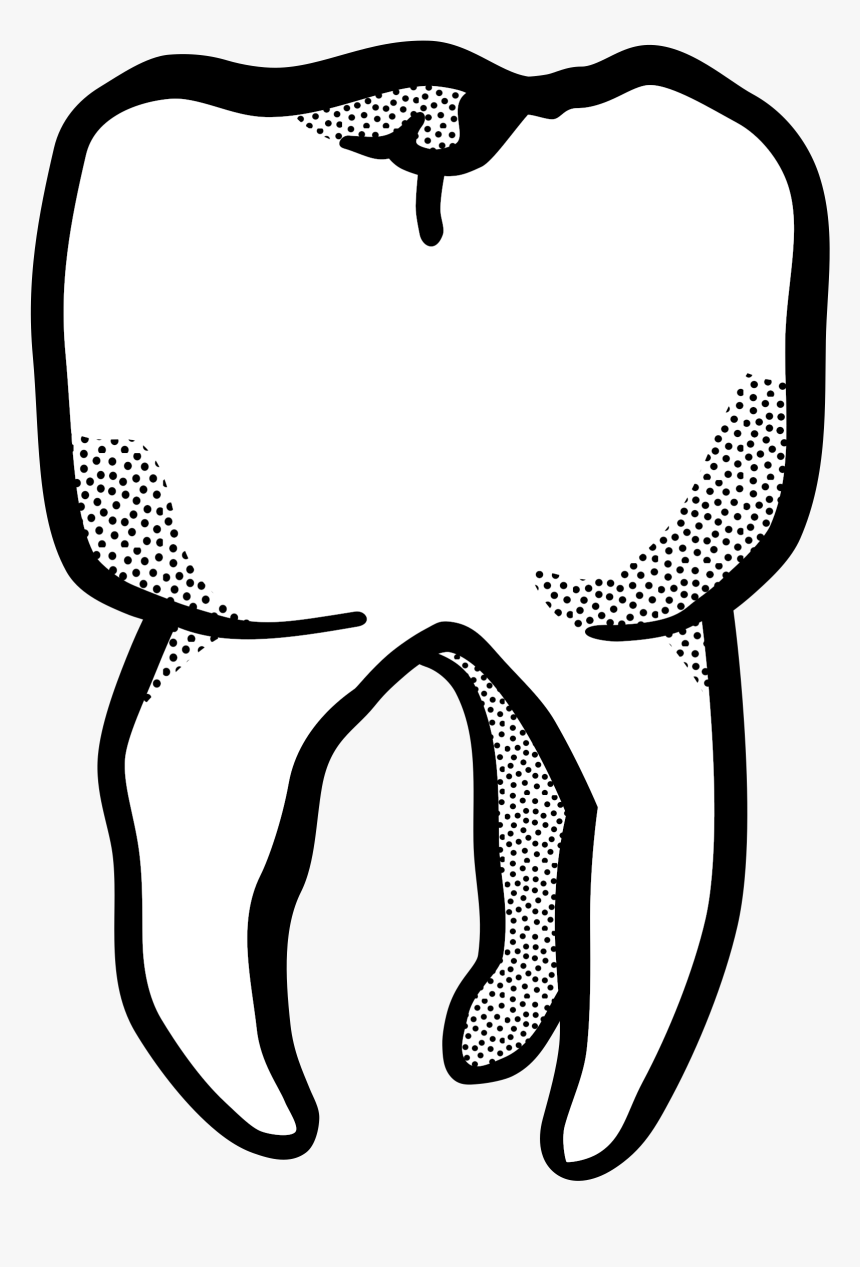 Tooth - Lineart - Tooth Drawing Png, Transparent Png, Free Download