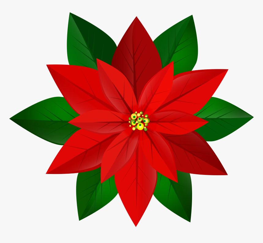 Poinsettia Christmas Clip Art, HD Png Download, Free Download