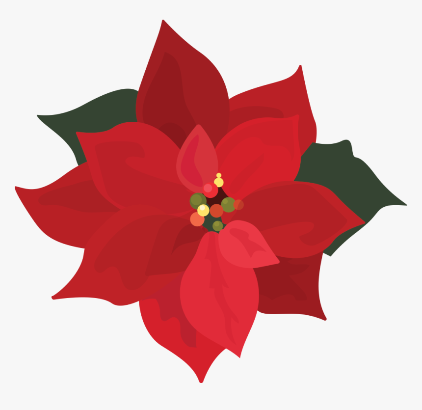 Png Download , Png Download - Poinsettia Clip Art Png, Transparent Png, Free Download