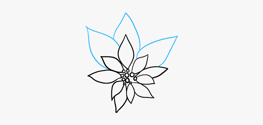 How To Draw Poinsettia - Line Art, HD Png Download, Free Download