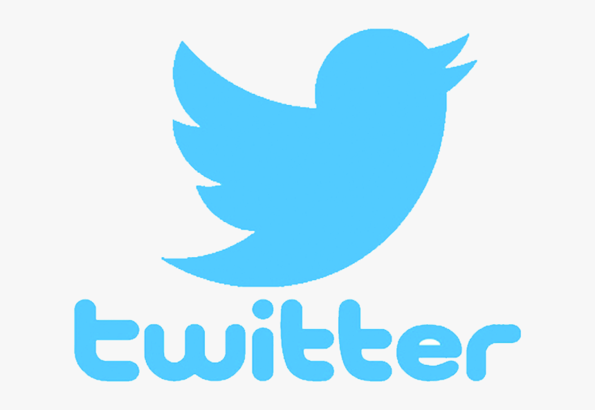 Twitter Logo Png 2019, Transparent Png, Free Download