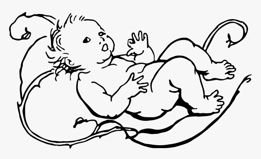 Sketch Of Infant, HD Png Download, Free Download