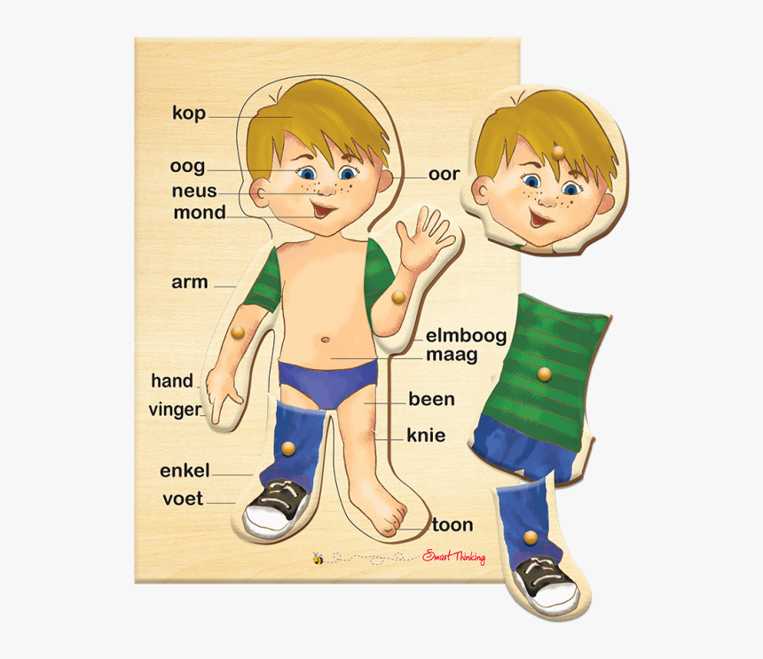 Leg Clipart Voet - Cartoon, HD Png Download, Free Download