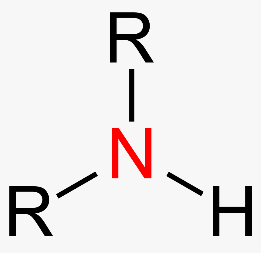 Amine Structural Formulae V - Chemistry Amine Functional Group, HD Png Download, Free Download