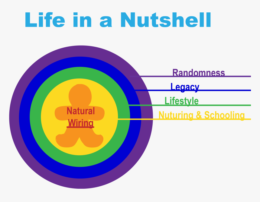 Nutshell Meaning, HD Png Download, Free Download