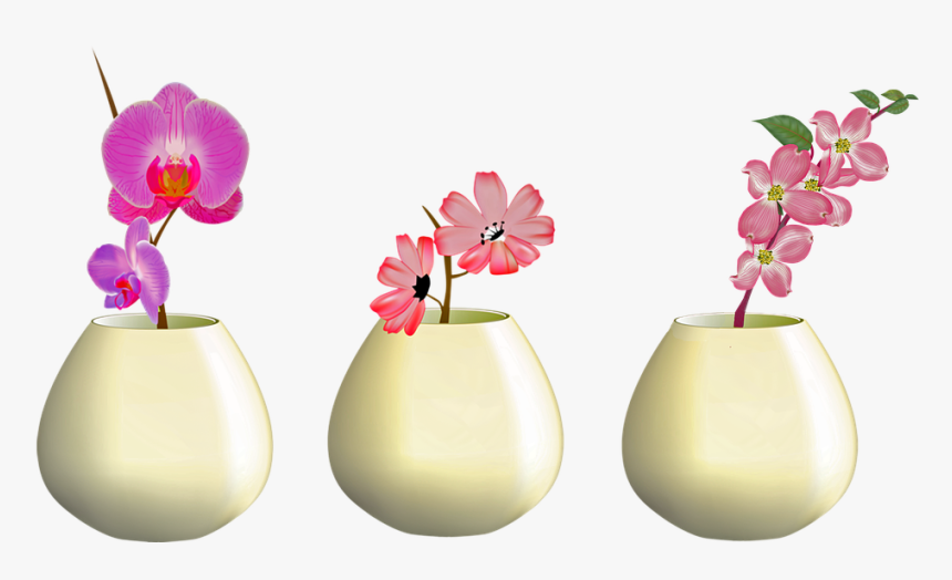 Flowers In Vase, Orchid, Pink Flowers, Plant, Nature - Mensagens De Boa Noite, HD Png Download, Free Download