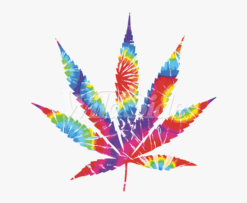 Transparent Real Weed Leaf Png - Cannabis Leaf, Png Download, Free Download