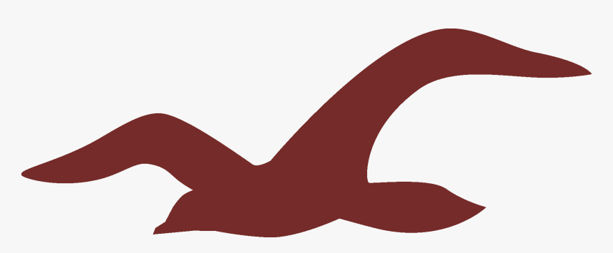 Hollister Logo Png - Transparent Background Hollister Logo, Png Download, Free Download
