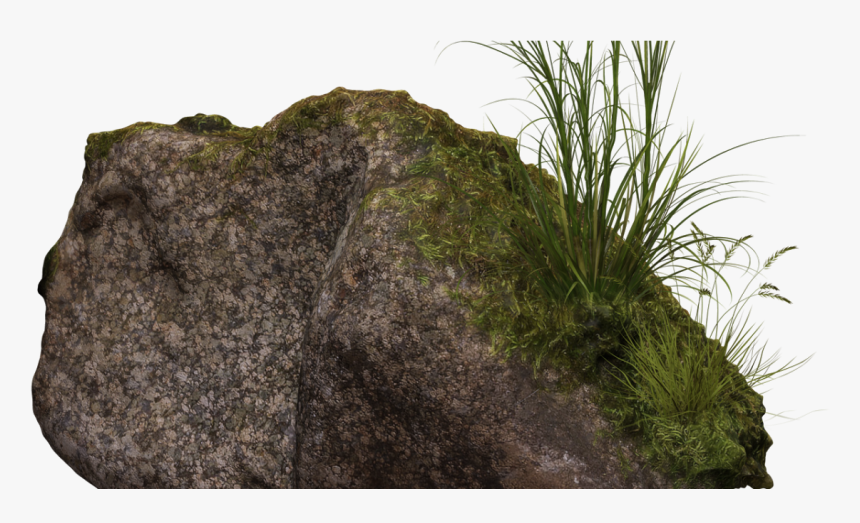 Rocks With Moss Png, Transparent Png, Free Download