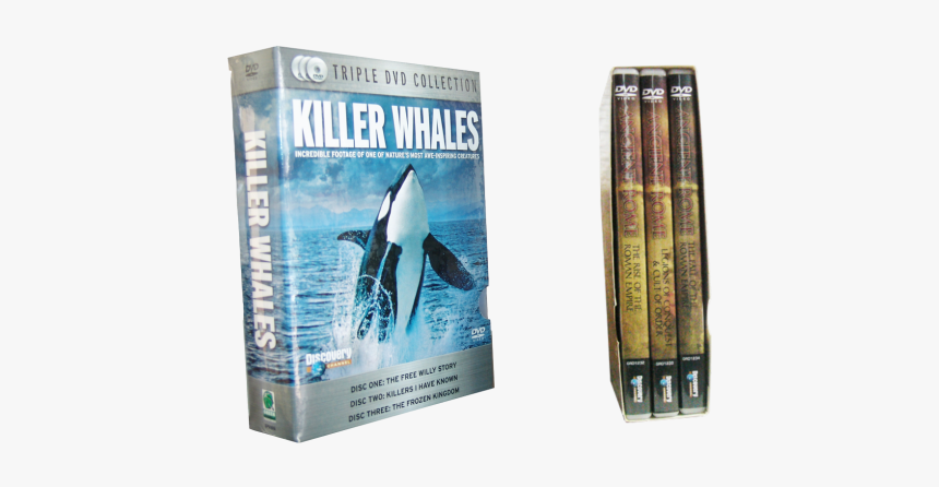 Dvd Slip Case For 3 Standard Dvd Cases - Shark, HD Png Download, Free Download