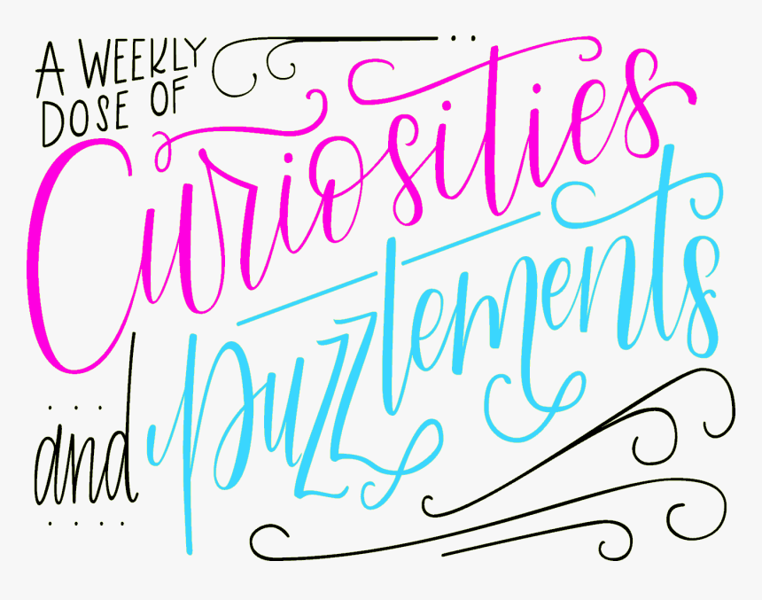 Curiosities And Puzzlements - Calligraphy, HD Png Download, Free Download