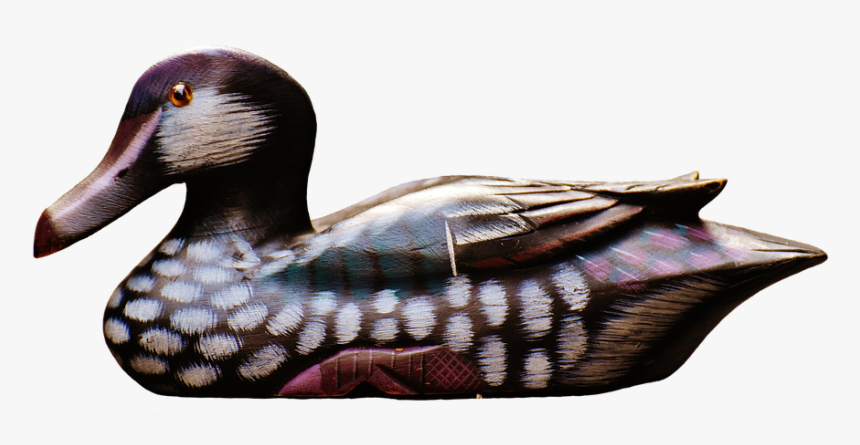 Wood Transparent Free On - Mallard, HD Png Download, Free Download