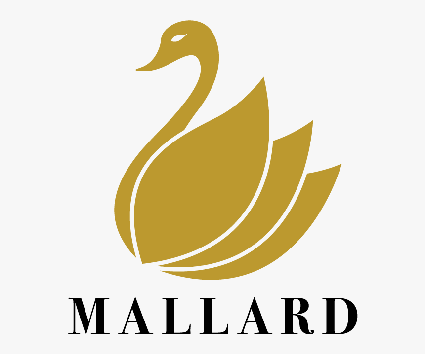 Mallard Marketing Logo - Duck, HD Png Download, Free Download