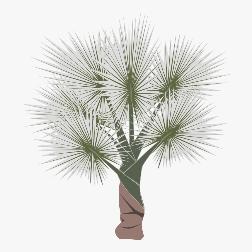 Free Palm-01 - Sabal Minor, HD Png Download, Free Download