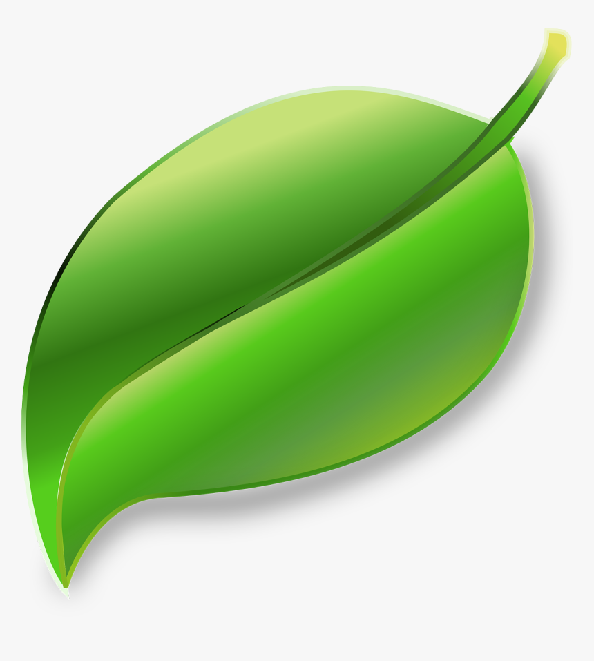 Plant,leaf,fruit - Daun Clipart, HD Png Download, Free Download