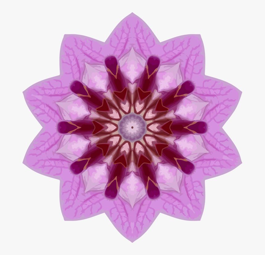 Pink,flower,symmetry - Dynamite Colouring Page Free, HD Png Download, Free Download