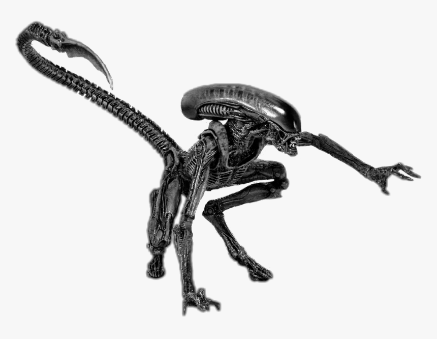 #alien #aliens #monster #babyalien #creatures #creature - Alien 3 Xenomorph, HD Png Download, Free Download