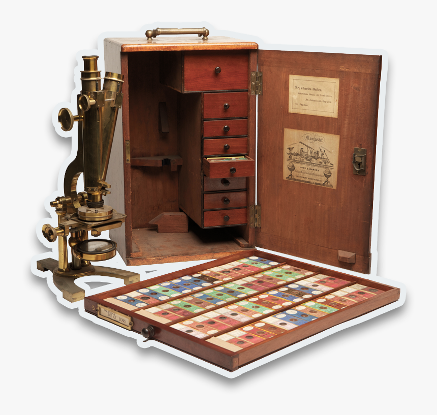 Investigate2 - Wood, HD Png Download, Free Download