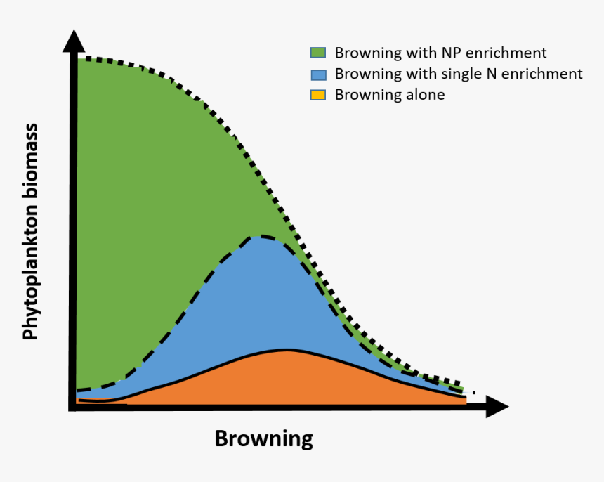 New Publication In Global Change Biology, HD Png Download, Free Download