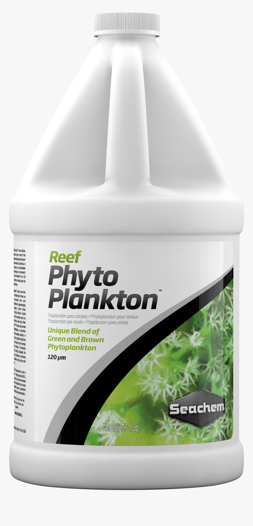 Transparent Phytoplankton Png - פלוריש סיכם, Png Download, Free Download