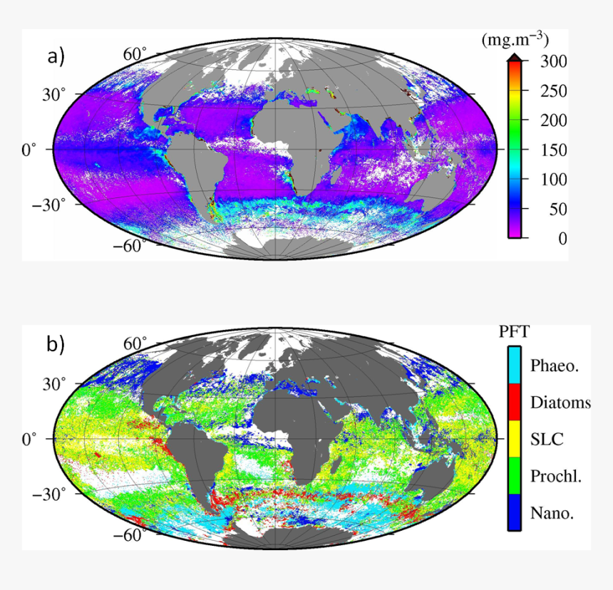 Global Distribution Of Carbon, HD Png Download, Free Download