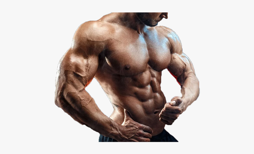 Biceps Bodybuilding, HD Png Download, Free Download