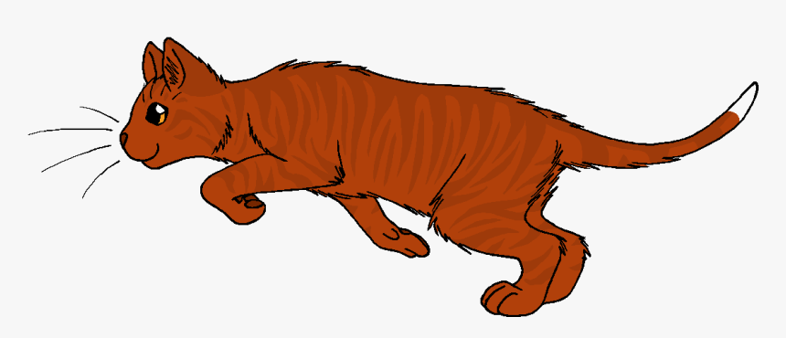 Alderheart - Sorrelstripe Warrior Cats, HD Png Download, Free Download