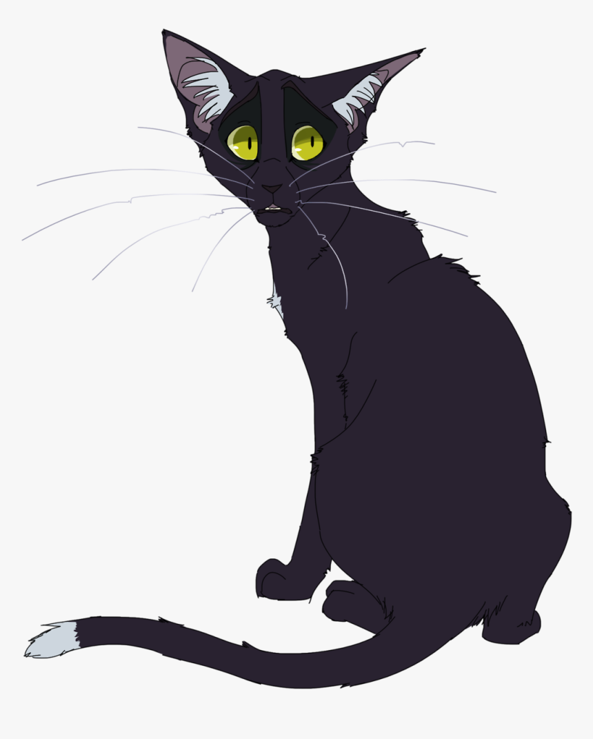 100 Warrior Cats Challenge - Warrior Cats Designs Ravenpaw, HD Png Download, Free Download