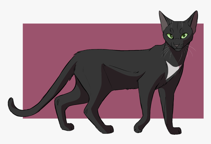 Black Cat Warriors Kitten Drawing - Warrior Cats Black Cat, HD Png Download, Free Download