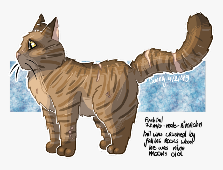 Abyssinian, HD Png Download, Free Download