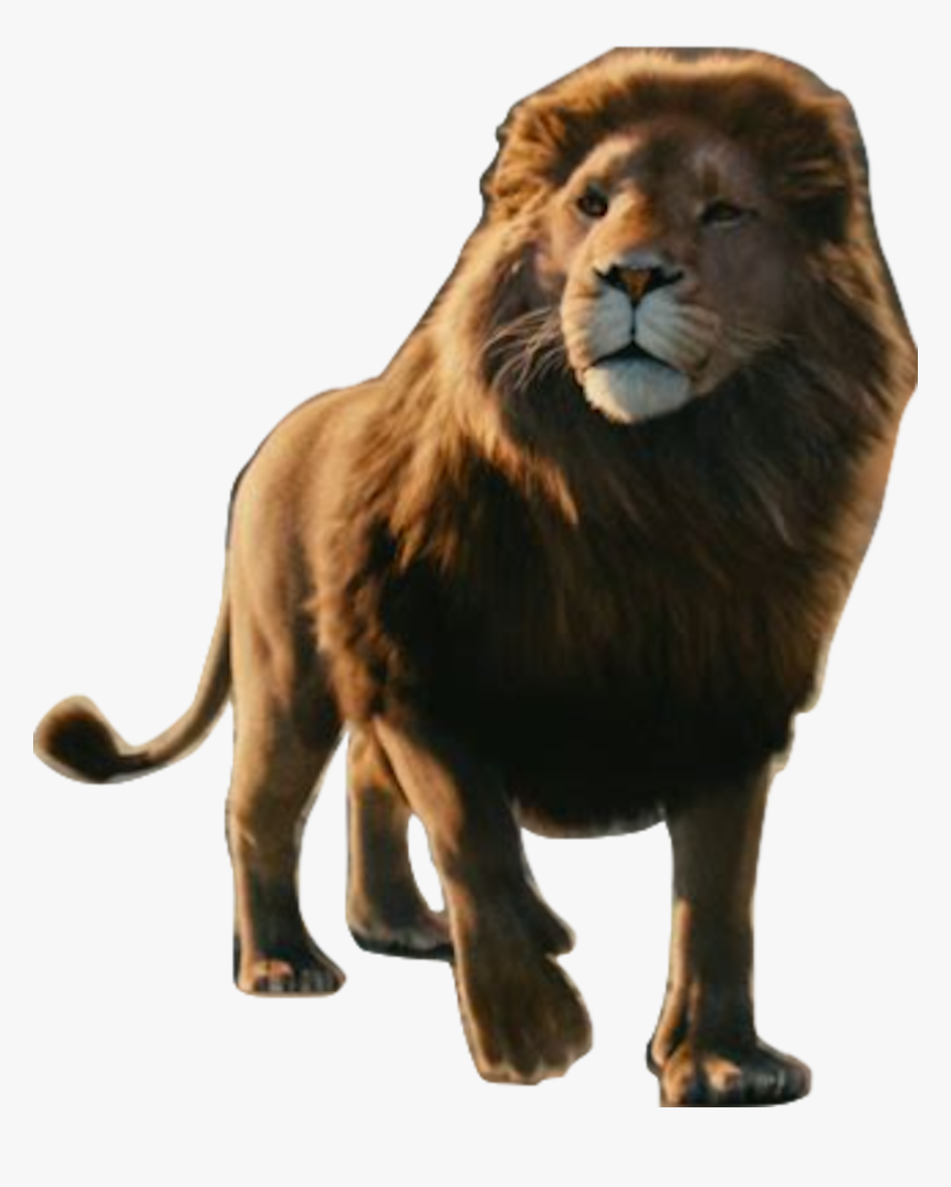 Aslan - Aslam Leon, HD Png Download, Free Download